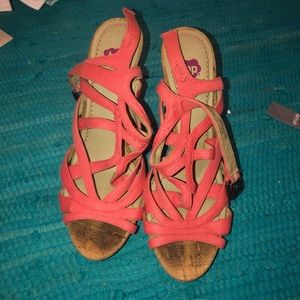Coral Wedges